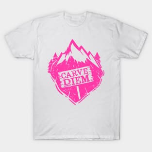 Carve Diem Women Ski Funny Winter T-Shirt and Gift T-Shirt